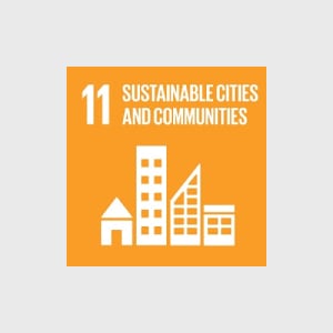 UN SDG 11